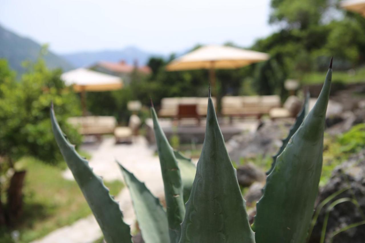 Hotel Lavanda Donja Kostanjica Exterior photo